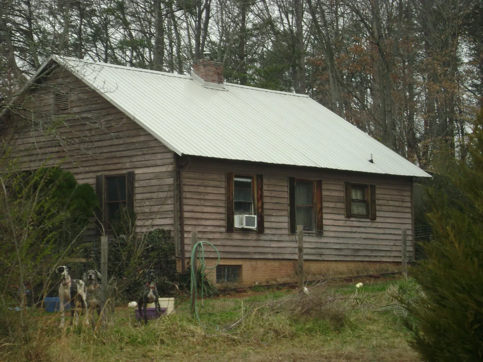 White metal roof on an old wood sided farmhouse, from a Metal Roof Installation job in Rock Hall